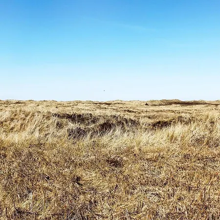 4 Person In Romo-by Traum *