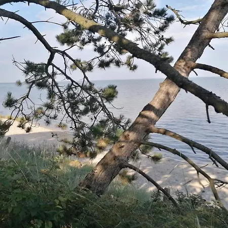 Casa de Férias 4 Person In Romo-by Traum